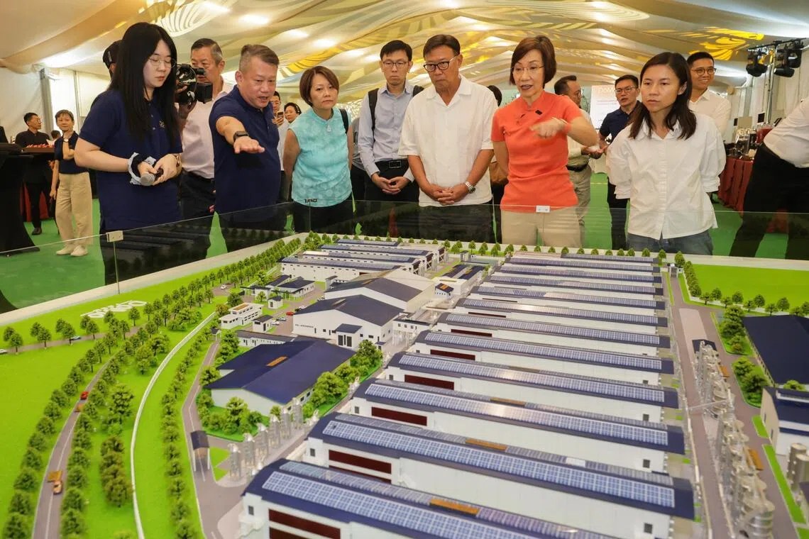 Maket DoMo Farm dilihat Menteri Grace Fu pada 29 September 2026 (kredit: ST PHOTO: GIN TAY / straitstimes.com)